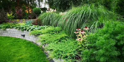 Project Garden. zakładanie ogrodów, nawadnianie, zieleń